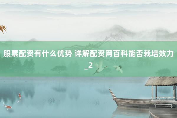 股票配资有什么优势 详解配资网百科能否栽培效力_2