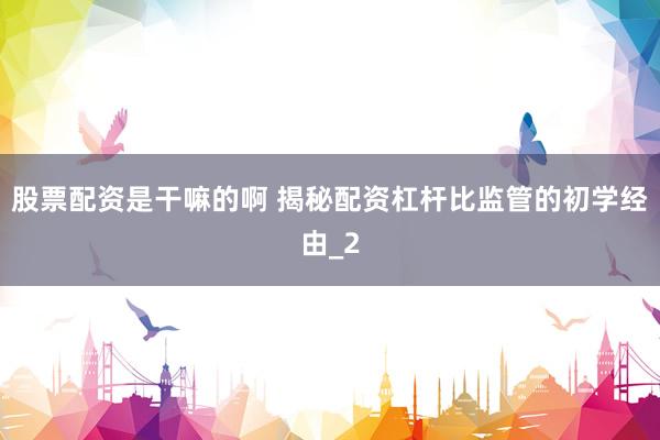 股票配资是干嘛的啊 揭秘配资杠杆比监管的初学经由_2