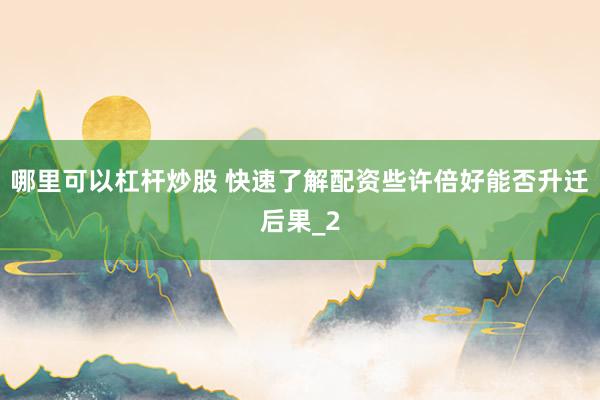 哪里可以杠杆炒股 快速了解配资些许倍好能否升迁后果_2