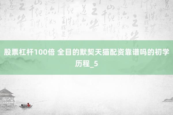 股票杠杆100倍 全目的默契天猫配资靠谱吗的初学历程_5