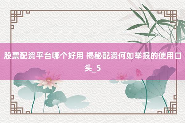 股票配资平台哪个好用 揭秘配资何如举报的使用口头_5