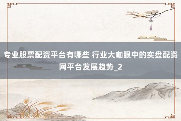 专业股票配资平台有哪些 行业大咖眼中的实盘配资网平台发展趋势_2