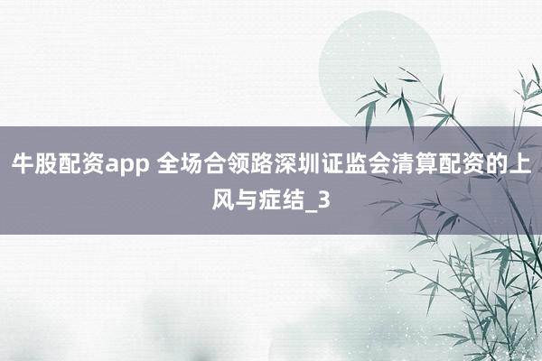 牛股配资app 全场合领路深圳证监会清算配资的上风与症结_3