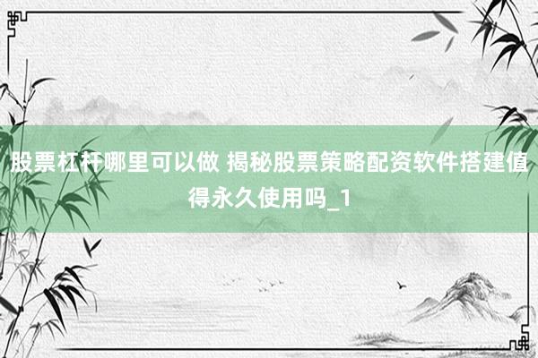 股票杠杆哪里可以做 揭秘股票策略配资软件搭建值得永久使用吗_1