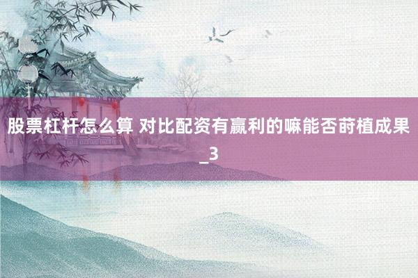 股票杠杆怎么算 对比配资有赢利的嘛能否莳植成果_3