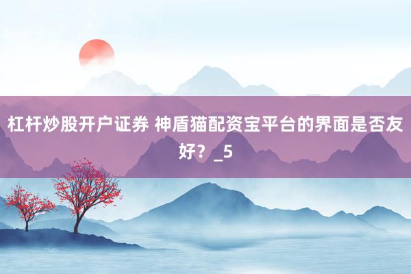 杠杆炒股开户证券 神盾猫配资宝平台的界面是否友好？_5